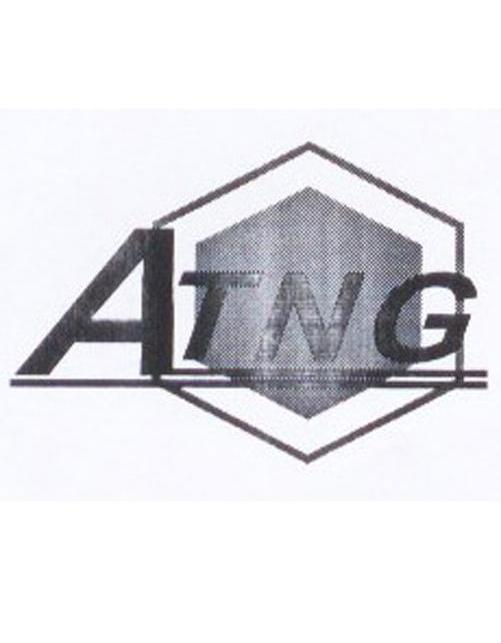 商标名称ATNG商标注册号 10984015、商标申请人东莞宏元电气设备有限公司的商标详情 - 标库网商标查询