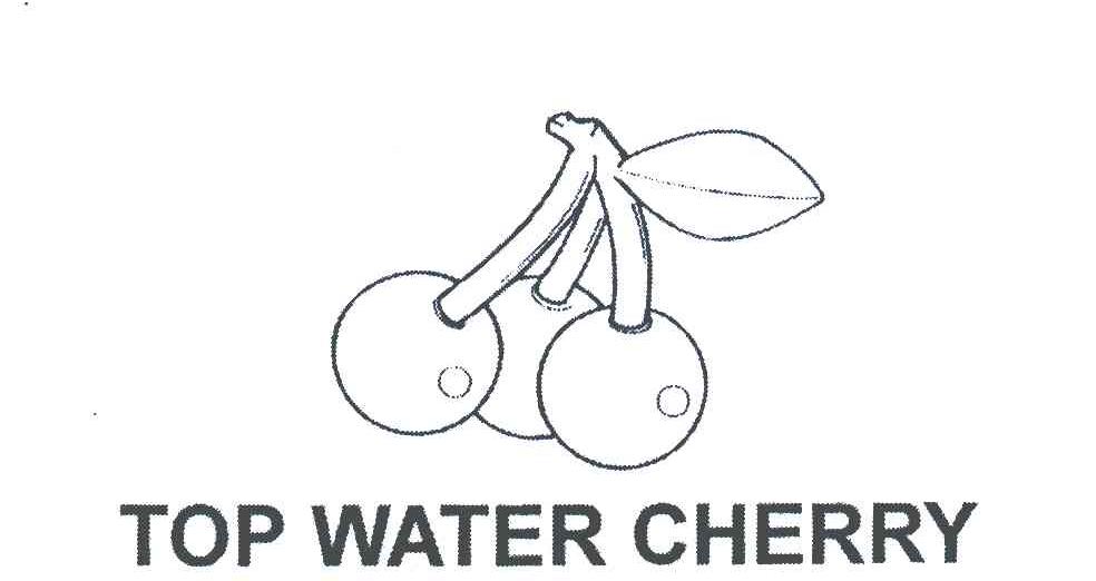 商标名称TOP WATER CHERRY商标注册号 5428622、商标申请人陈春财G的商标详情 - 标库网商标查询