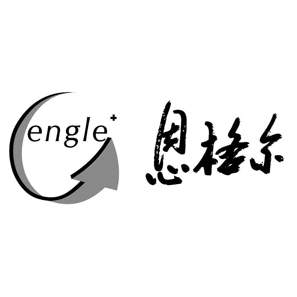 商标名称恩格尔 ENGLE商标注册号 10769025、商标申请人武汉送子鸟中西医结合医院有限公司的商标详情 - 标库网商标查询