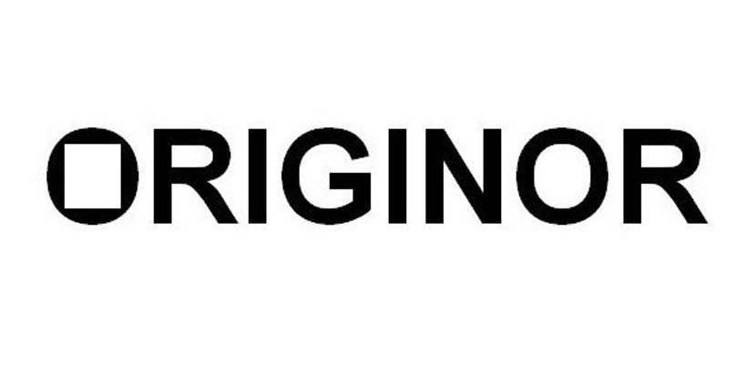 商标名称RIGINOR商标注册号 12340020、商标申请人宁波华治国际贸易有限公司的商标详情 - 标库网商标查询
