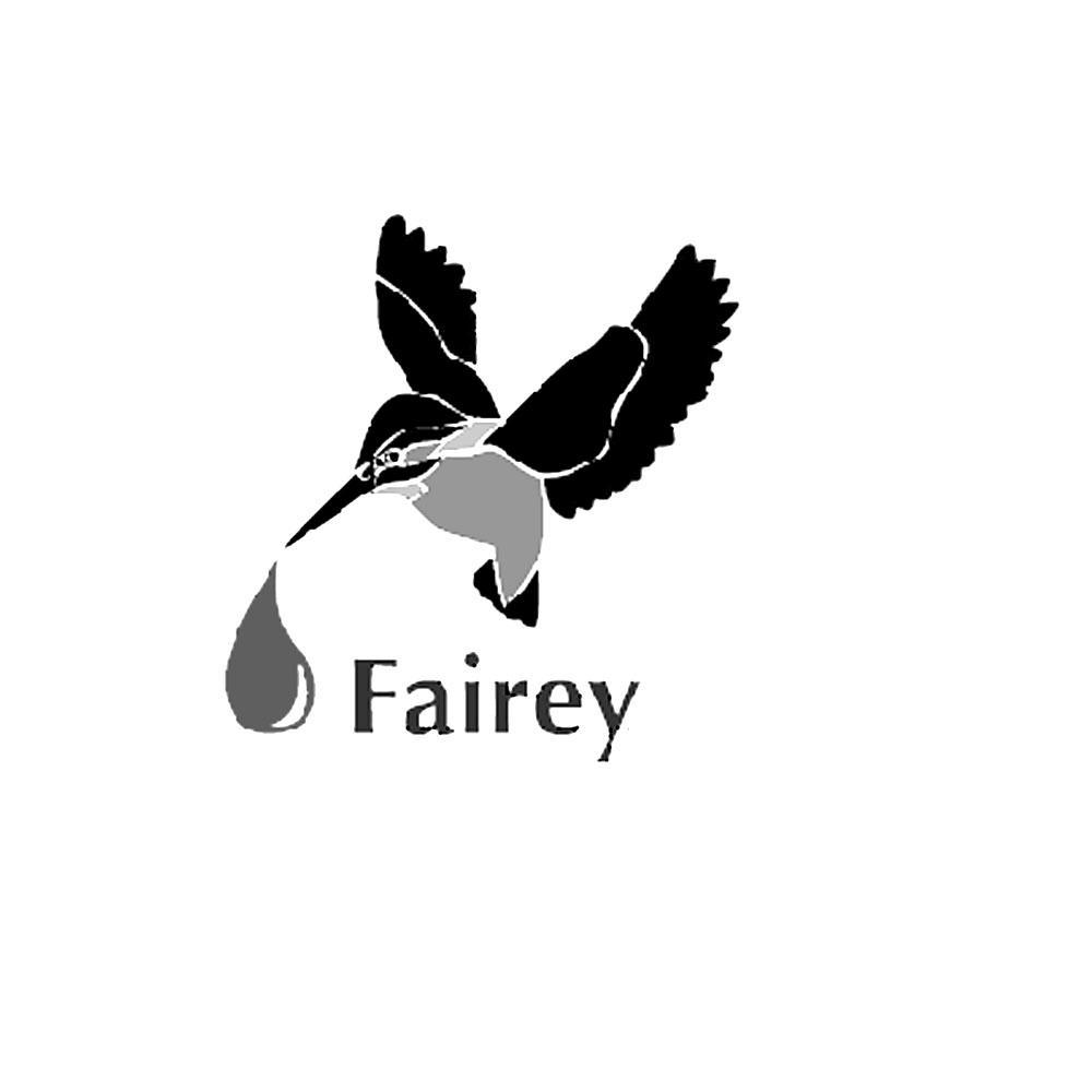 商标名称FAIREY商标注册号 10705470、商标申请人英国飞力（香港）有限公司的商标详情 - 标库网商标查询