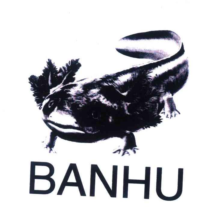 商标名称BANHU商标注册号 4551485、商标申请人董英萍的商标详情 - 标库网商标查询
