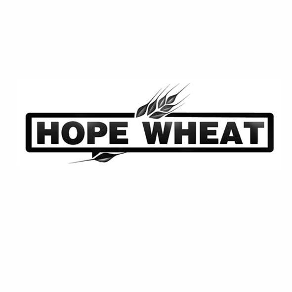 商标名称HOPE WHEAT商标注册号 10204017、商标申请人武汉希麦管理咨询有限公司的商标详情 - 标库网商标查询