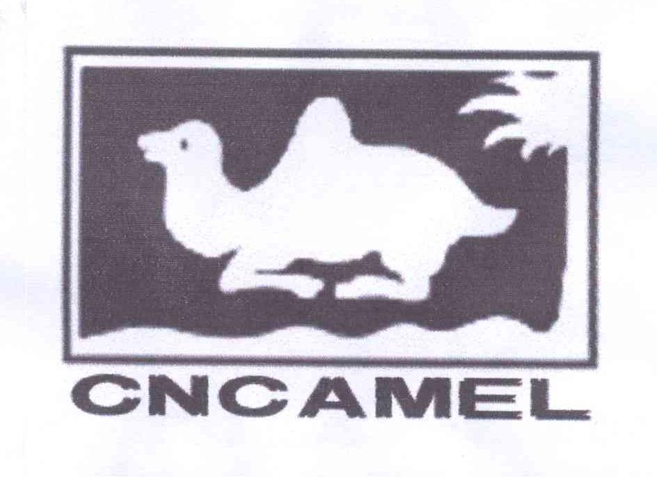 商标名称CNCAMEL商标注册号 13825931、商标申请人李爱强的商标详情 - 标库网商标查询