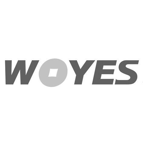 商标名称WOYES商标注册号 11610307、商标申请人广东沃银网络科技有限公司的商标详情 - 标库网商标查询