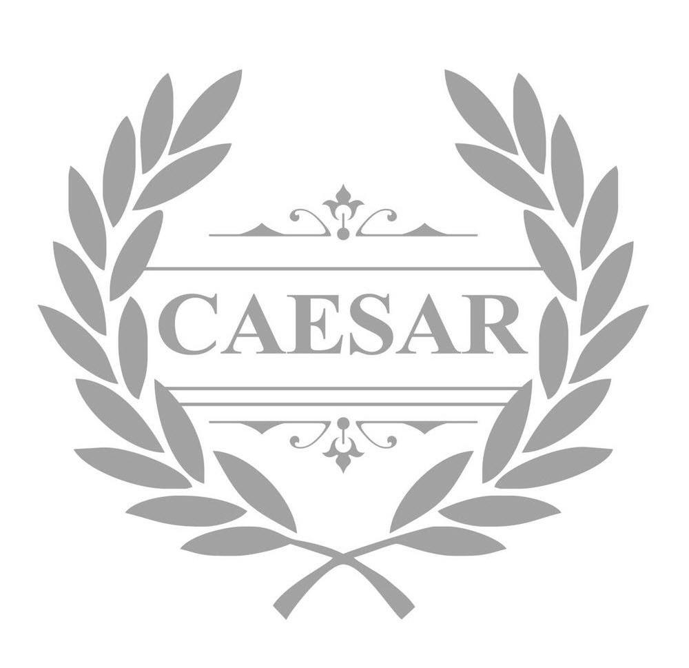 商标名称CAESAR商标注册号 14296384、商标申请人北京星伟体育用品有限公司的商标详情 - 标库网商标查询