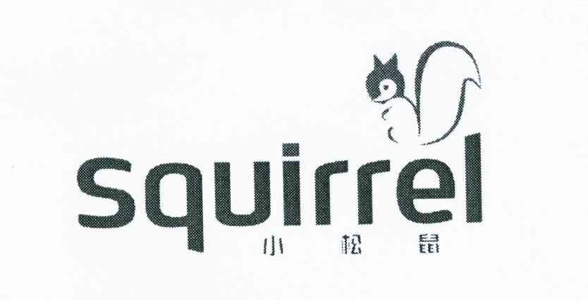 商标名称小松鼠 SQUIRREL商标注册号 8706192、商标申请人广州迪森家居环境技术有限公司的商标详情 - 标库网商标查询