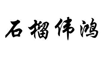 商标文字石榴伟鸿商标注册号 47681654,商标申请人许伟鸿的商标详情