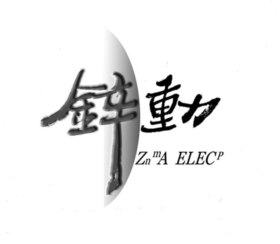 商标名称锌动 ZNMA ELECP商标注册号 10212876、商标申请人恒力新能源科技（福建）有限公司的商标详情 - 标库网商标查询