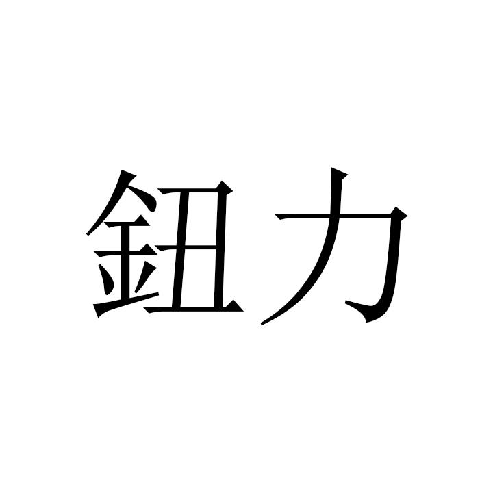 商标文字钮力商标注册号 56587911,商标申请人易之力五金制造(山东)