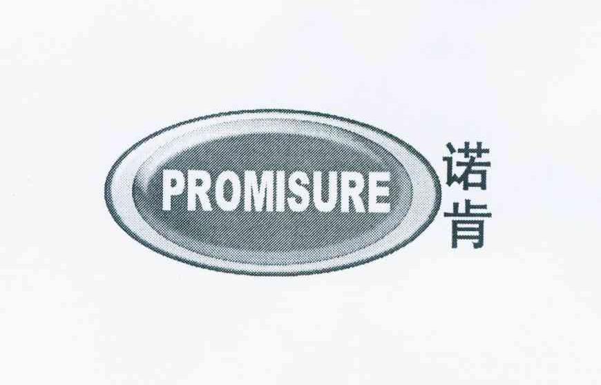 商标名称诺肯 PROMISURE商标注册号 11970493、商标申请人广州诺肯节能环保科技有限公司的商标详情 - 标库网商标查询