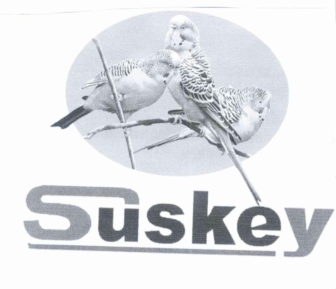 商标名称SUSKEY商标注册号 7704846、商标申请人瑞丽姐告凌飞电器商行的商标详情 - 标库网商标查询