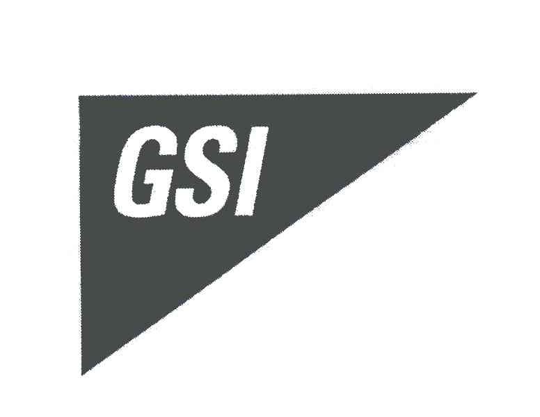 商标名称GSI商标注册号 5416696、商标申请人GSI集团公司的商标详情 - 标库网商标查询