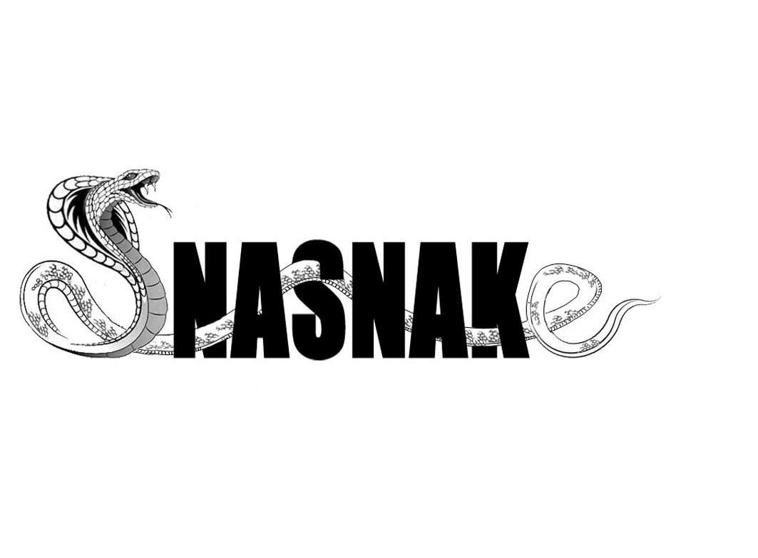 商标名称NASNAK商标注册号 11517269、商标申请人平湖市三凌制衣有限公司的商标详情 - 标库网商标查询