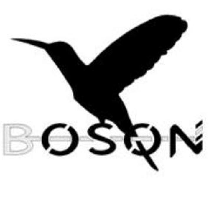 商标名称BOSON商标注册号 11579407、商标申请人群臆有限公司的商标详情 - 标库网商标查询
