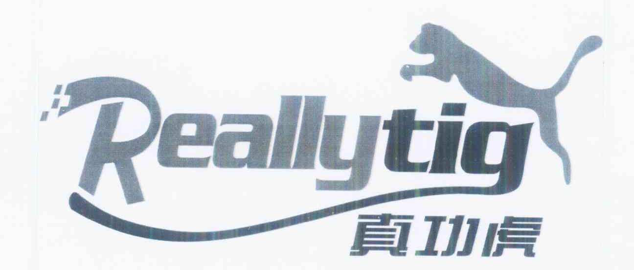 商标名称真功虎 REALLYTIG商标注册号 10401266、商标申请人吴顺梁的商标详情 - 标库网商标查询