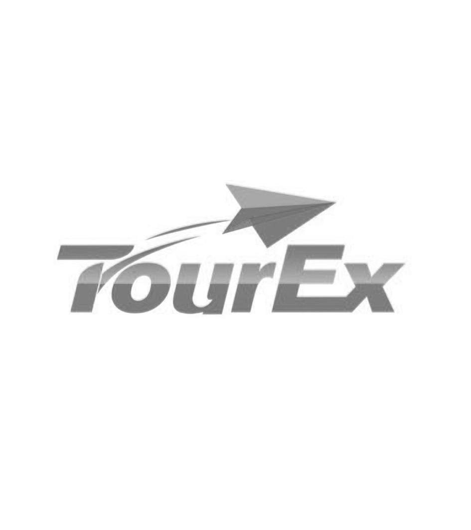 商标名称TOUREX商标注册号 10596237、商标申请人清远网博信息技术有限公司的商标详情 - 标库网商标查询