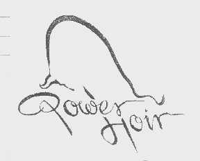 商标名称POWER HOIR商标注册号 1183923、商标申请人陈球恩的商标详情 - 标库网商标查询