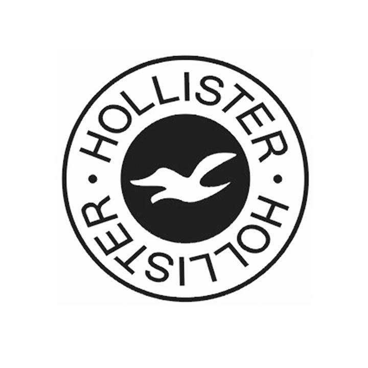 商标名称HOLLISTER HOLLISTER商标注册号 11606099、商标申请人宁波汉思进出口有限公司的商标详情 - 标库网商标查询