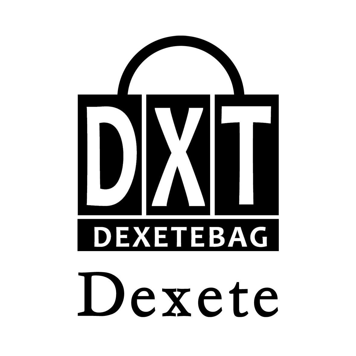 商标名称DXT DEXETEBAG DEXETE商标注册号 13566492、商标申请人帝斯特实业有限公司的商标详情 - 标库网商标查询