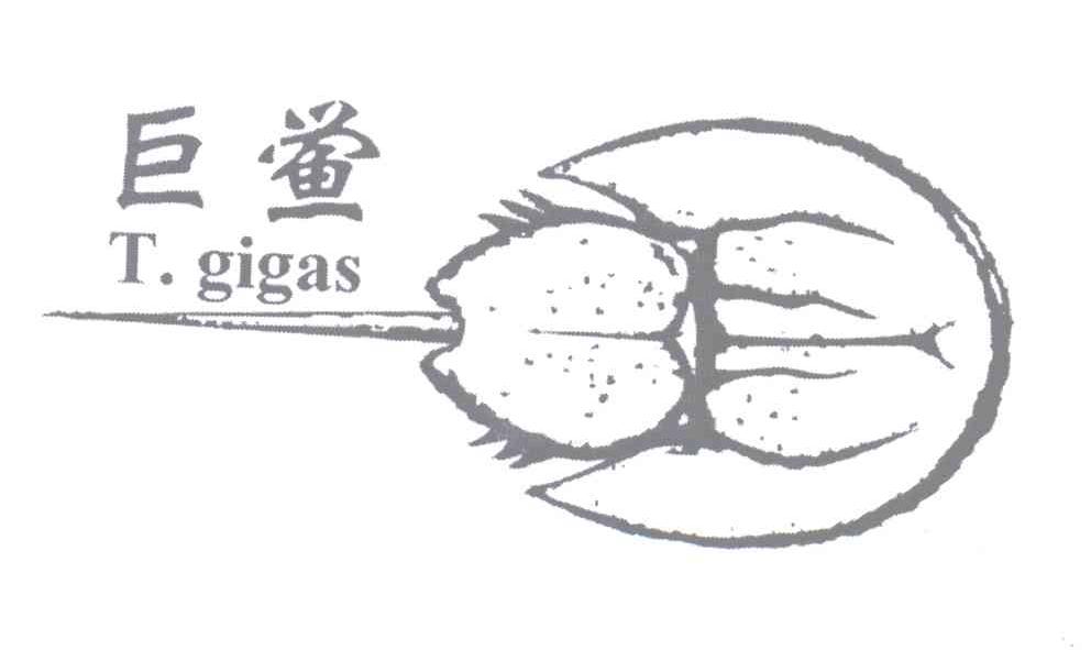 商标名称巨鲎 T.GIGAS商标注册号 12966356、商标申请人杨文钢的商标详情 - 标库网商标查询