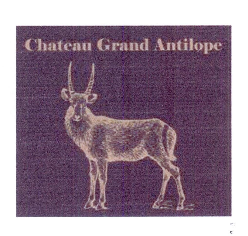 商标文字chateau grand antilope商标注册号 27317297,商标申请人大