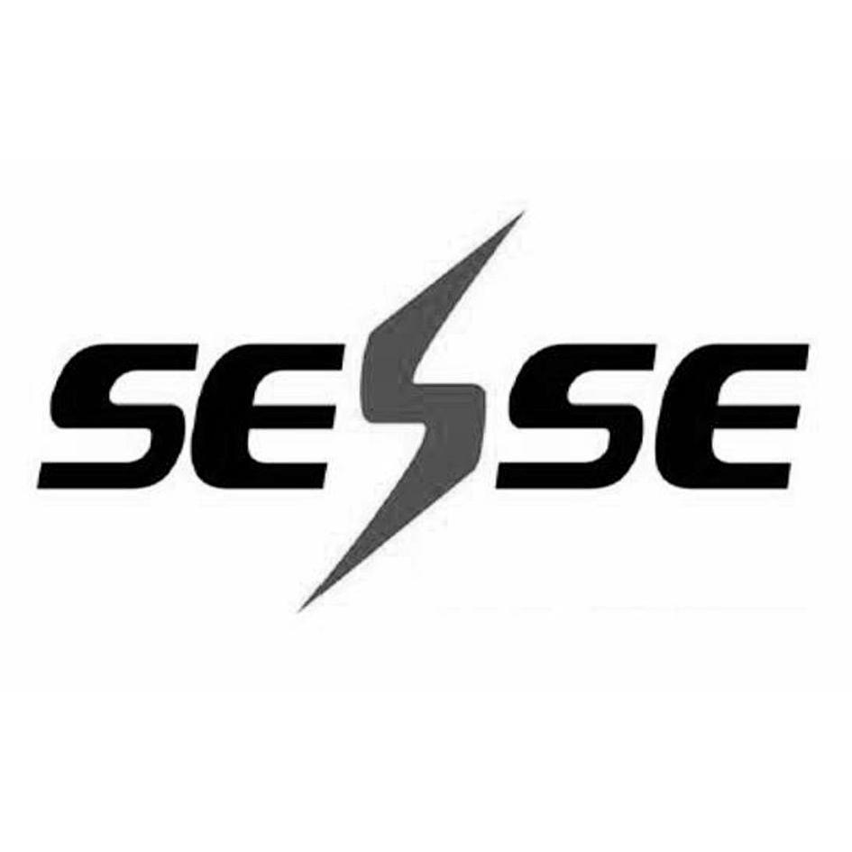 商标名称SESSE商标注册号 12028674、商标申请人华东电力试验研究院有限公司的商标详情 - 标库网商标查询