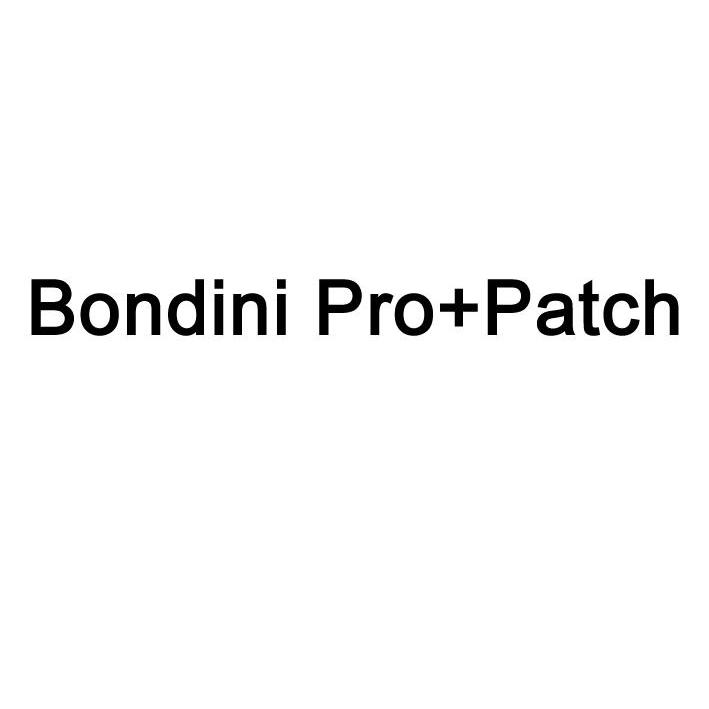 商标名称BONDINI PRO+PATCH商标注册号 11843798、商标申请人北京庆林发国际贸易有限公司的商标详情 - 标库网商标查询