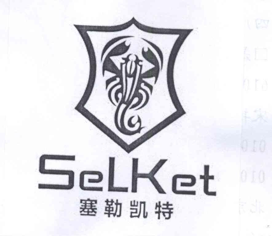商标名称塞勒凯特   SELKET商标注册号 14281100、商标申请人包头市高氏体育用品有限公司的商标详情 - 标库网商标查询