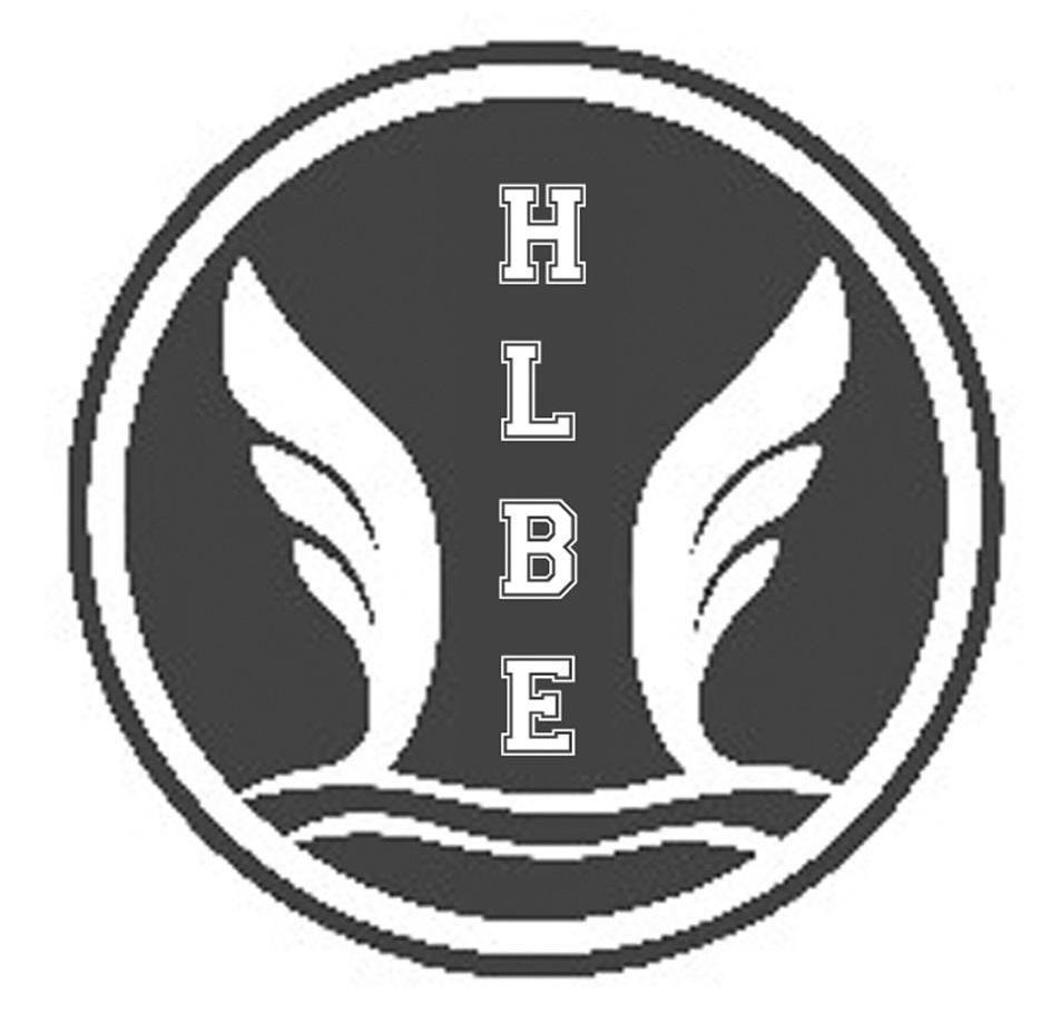 商标名称HLBE商标注册号 11349815、商标申请人顾长春的商标详情 - 标库网商标查询