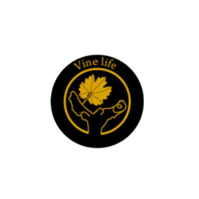 商标名称VINE LIFE商标注册号 11162802、商标申请人欧格吉国际管理咨询（北京）有限公司的商标详情 - 标库网商标查询