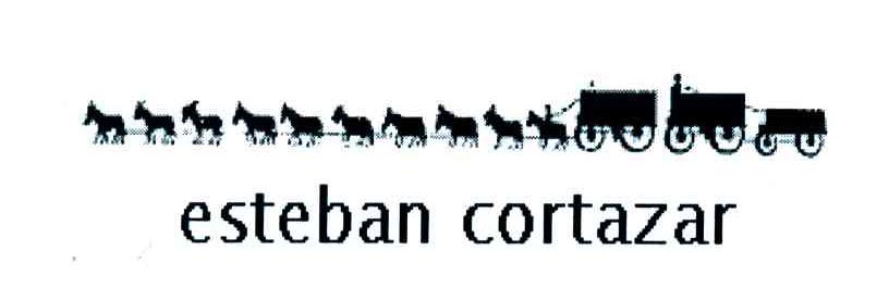 商标名称ESTEBAN CORTAZAR商标注册号 4393161、商标申请人李秀云的商标详情 - 标库网商标查询