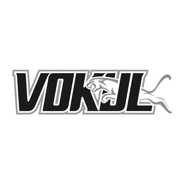 商标名称VOKUL商标注册号 14244002、商标申请人深圳市沃酷运动器材有限公司的商标详情 - 标库网商标查询