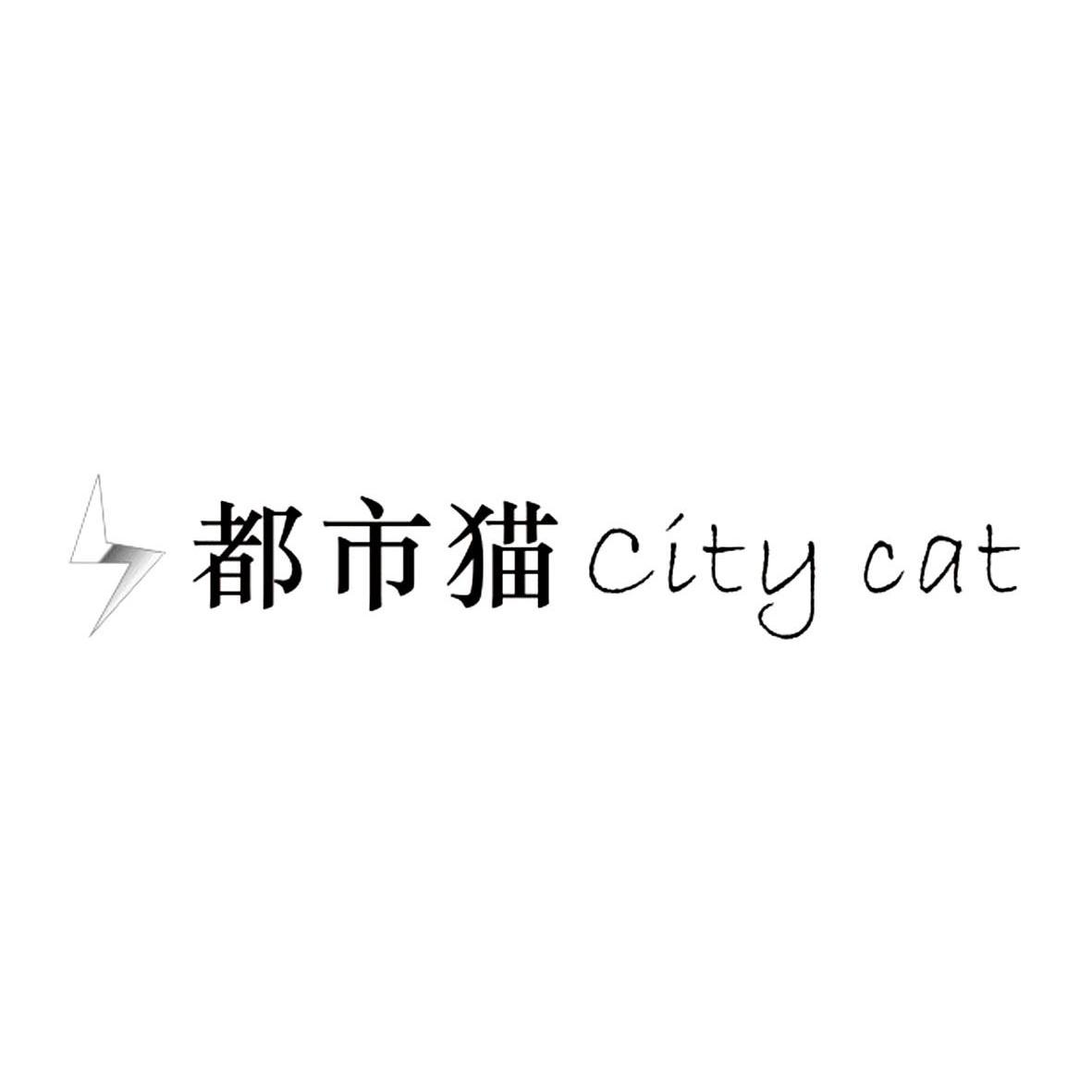 商标名称都市猫 CITY CAT商标注册号 11253149、商标申请人深圳市亿发通讯有限公司的商标详情 - 标库网商标查询