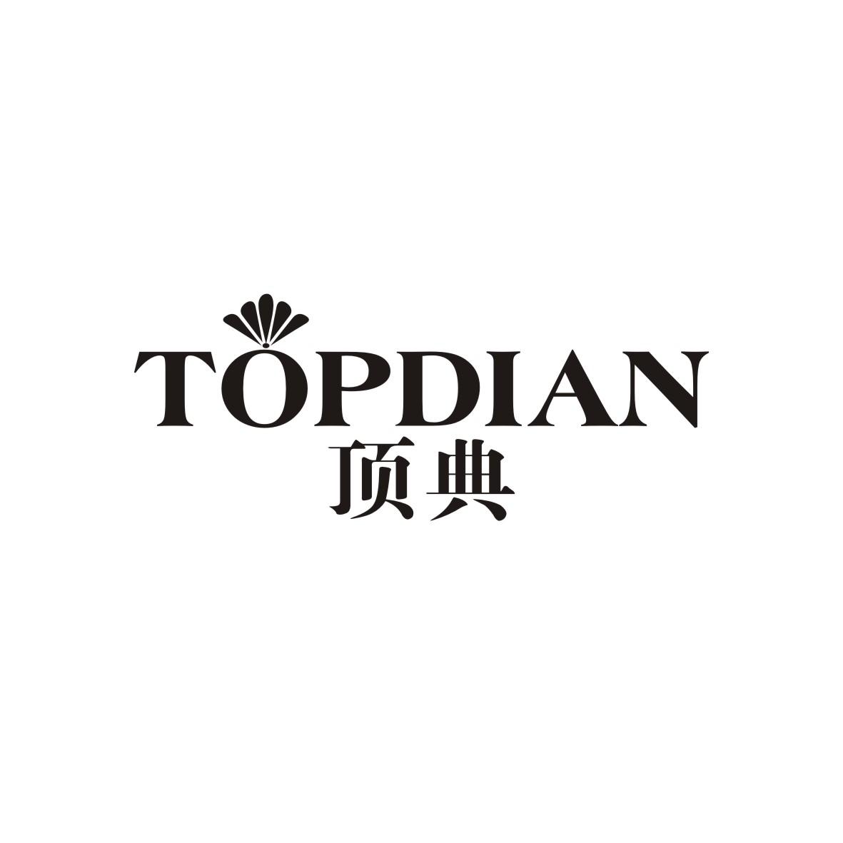  TOPDIAN