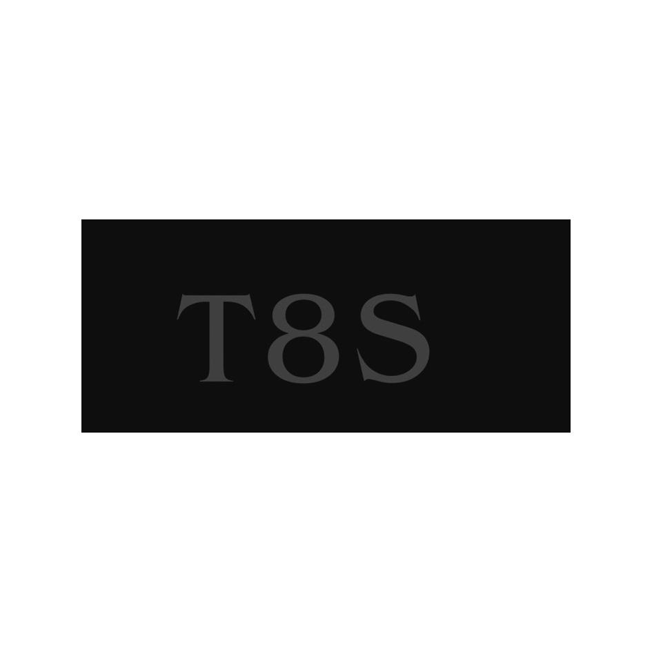 商标名称TS 8商标注册号 18285341、商标申请人深圳市公子哥数码电器有限公司的商标详情 - 标库网商标查询