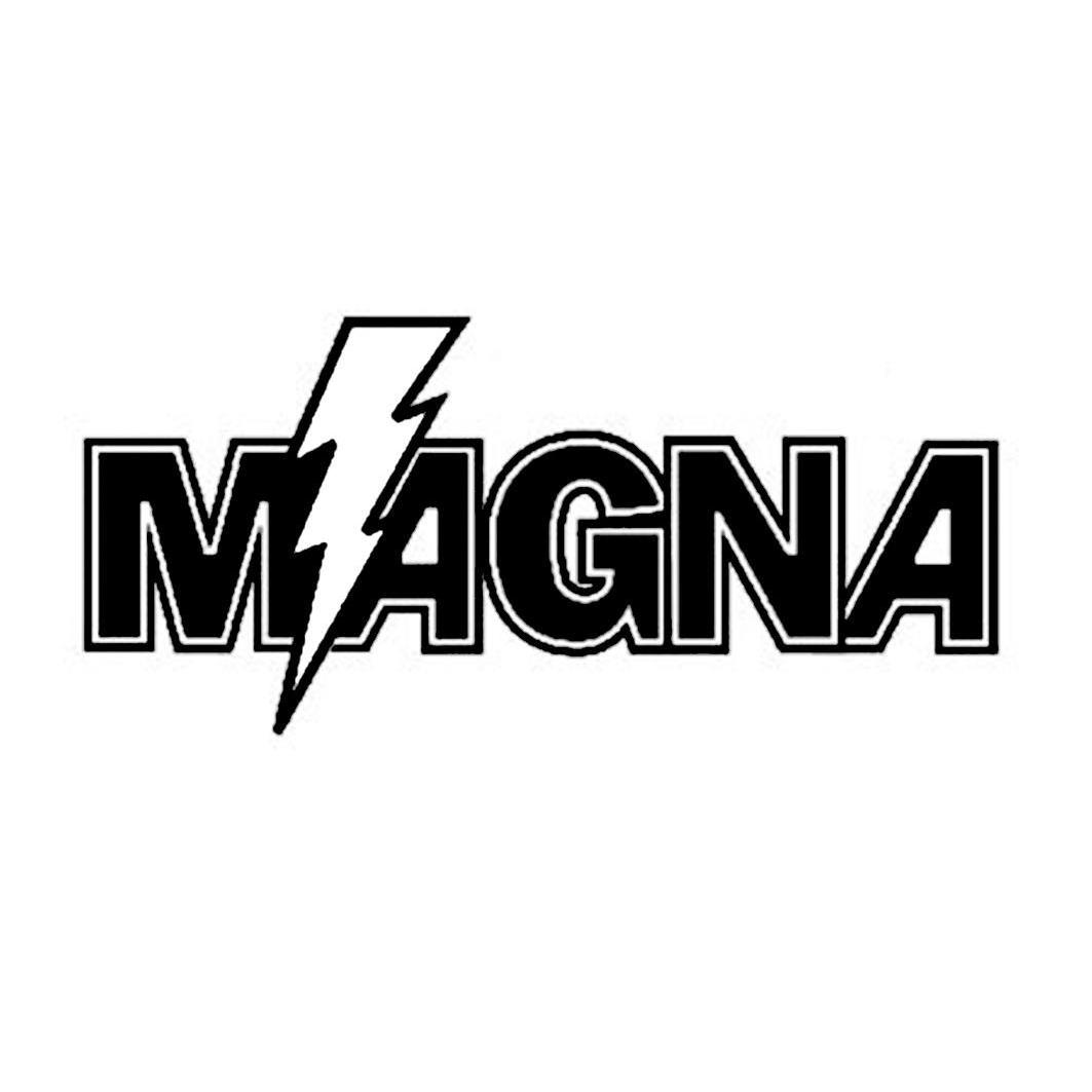 商标名称MAGNA商标注册号 13231487、商标申请人泉州三特电源有限公司的商标详情 - 标库网商标查询