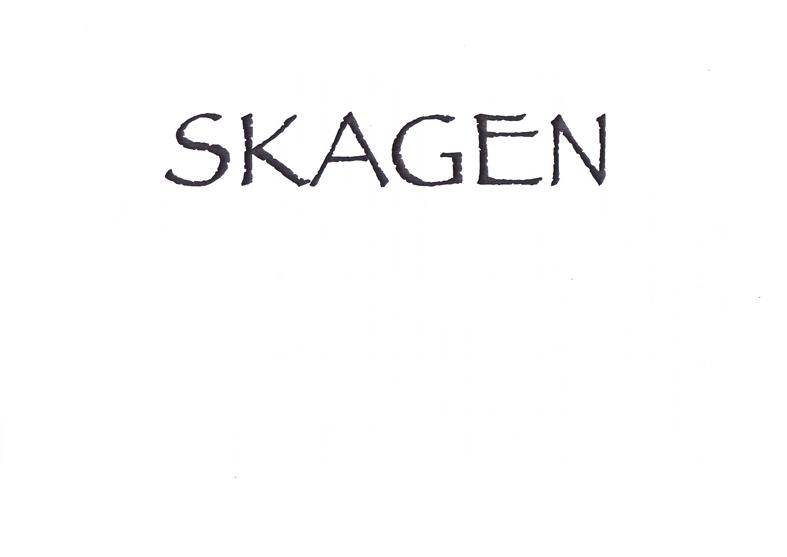 商标名称SKAGEN商标注册号 18258040、商标申请人安徽绚丽时装有限公司的商标详情 - 标库网商标查询