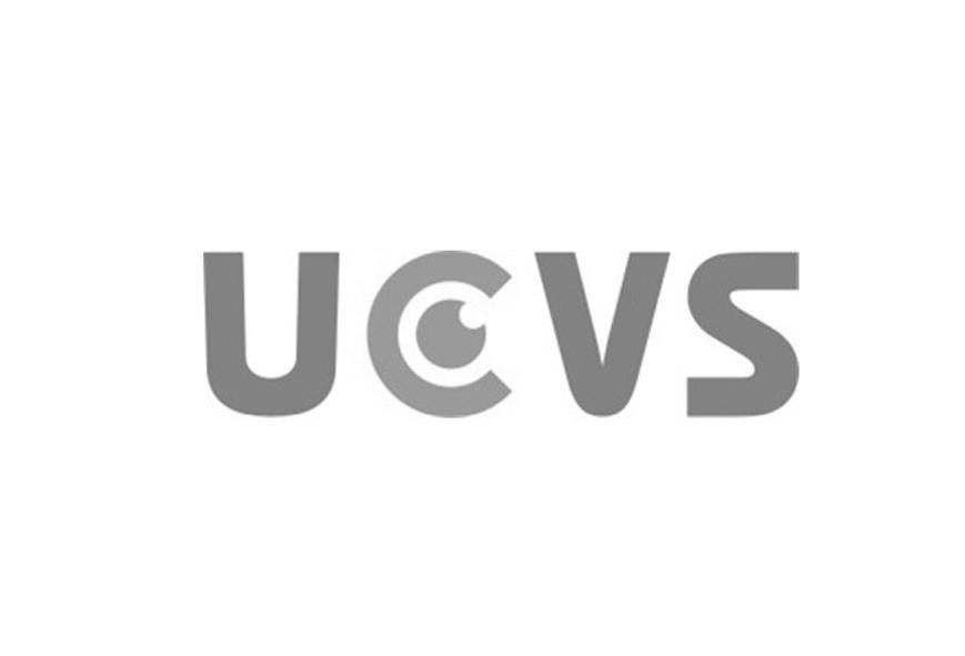 商标名称UCVS商标注册号 11312314、商标申请人北京联友视创科技有限公司的商标详情 - 标库网商标查询