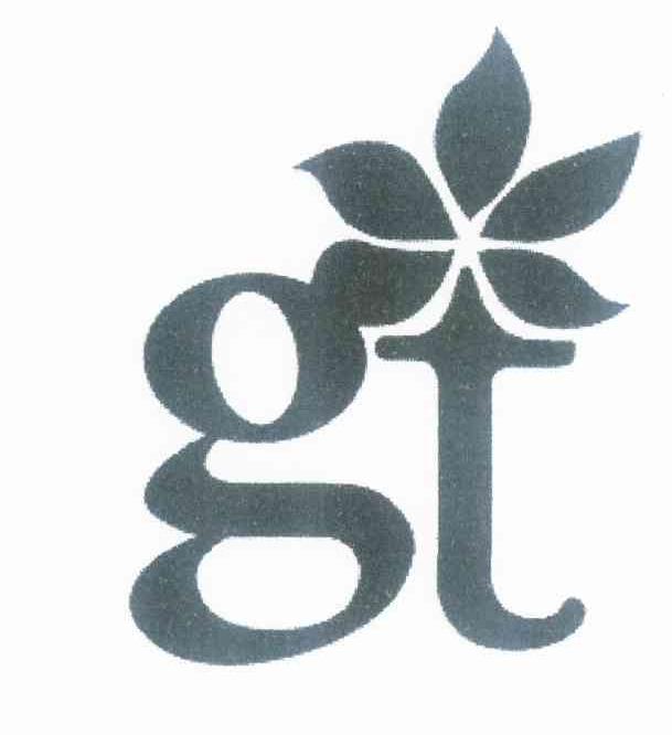 商标名称GT商标注册号 10634661、商标申请人李海英的商标详情 - 标库网商标查询