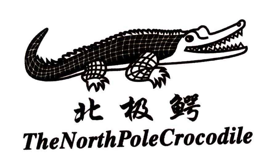 商标名称北极鳄;THE NORTH POLE CROCODILE商标注册号 3761788、商标申请人仲珂成的商标详情 - 标库网商标查询