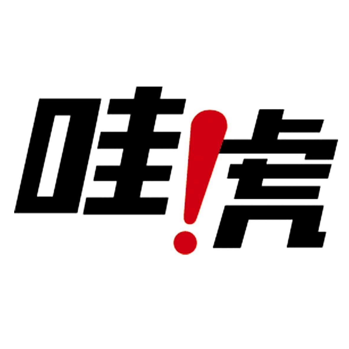 商标名称哇虎商标注册号 11176154、商标申请人水王星净水设备（上海）有限公司的商标详情 - 标库网商标查询