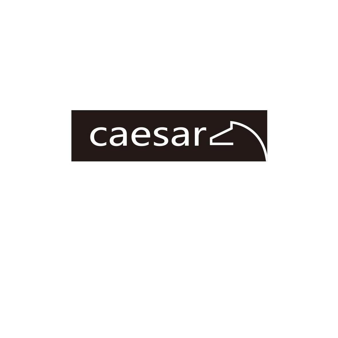 商标名称CAESAR商标注册号 10776530、商标申请人成都云图控股股份有限公司的商标详情 - 标库网商标查询