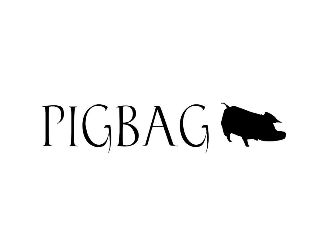 商标名称PIGBAG商标注册号 9838533、商标申请人厦门比尔微纤科技有限公司的商标详情 - 标库网商标查询