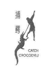 商标名称扑鳄;CATCH CROCODYLU商标注册号 3913931、商标申请人陈毓萍的商标详情 - 标库网商标查询