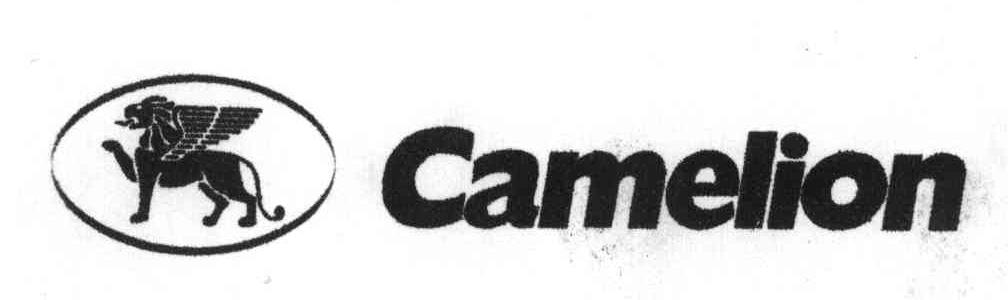 商标名称CAMELION商标注册号 3840684、商标申请人深圳市飞狮电池有限公司的商标详情 - 标库网商标查询