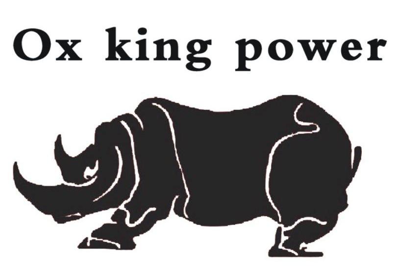 商标名称OX KING POWER商标注册号 11981858、商标申请人广州华太电池科技有限公司的商标详情 - 标库网商标查询