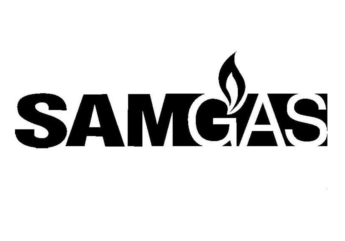 商标名称SAMGAS商标注册号 12132579、商标申请人森格斯亚太有限公司的商标详情 - 标库网商标查询