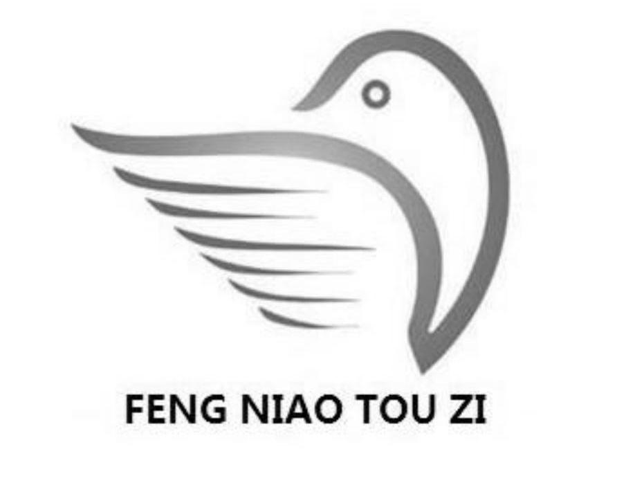 商标名称FENG NIAO TOU ZI商标注册号 10310713、商标申请人重庆蜂鸟股权投资基金管理有限公司的商标详情 - 标库网商标查询