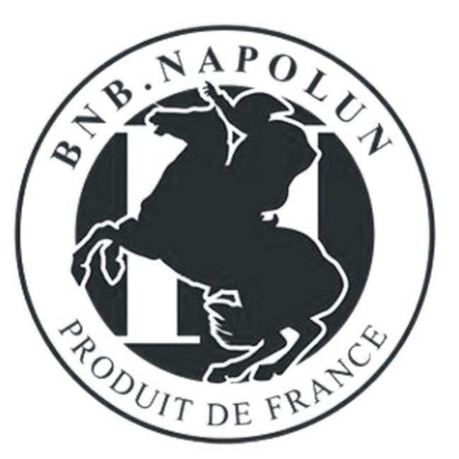 商标名称BNB NAPOLUN PRODUIT DE FRANCE商标注册号 10316671、商标申请人成都市广大福商贸有限公司的商标详情 - 标库网商标查询